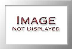 IB25536